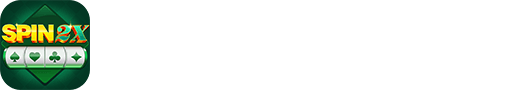 SPIN 2X logo